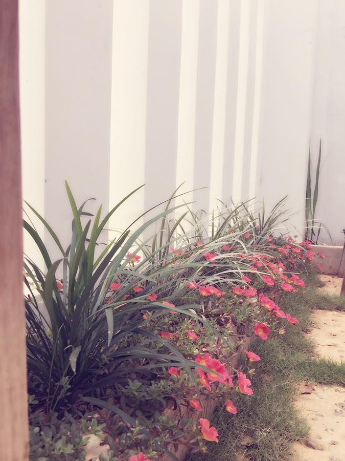 Hani House Pleiku Ngoại thất bức ảnh